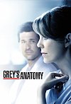 Anatomia de Grey (11ª Temporada)